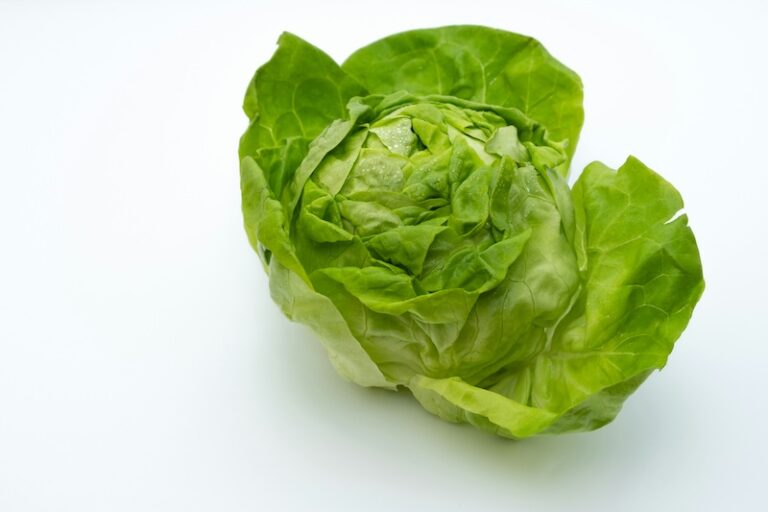 ‘I’m not a wet lettuce’: Trainee solicitor behind SQE petition hits back at Braverman’s ‘snowflake’ jibe