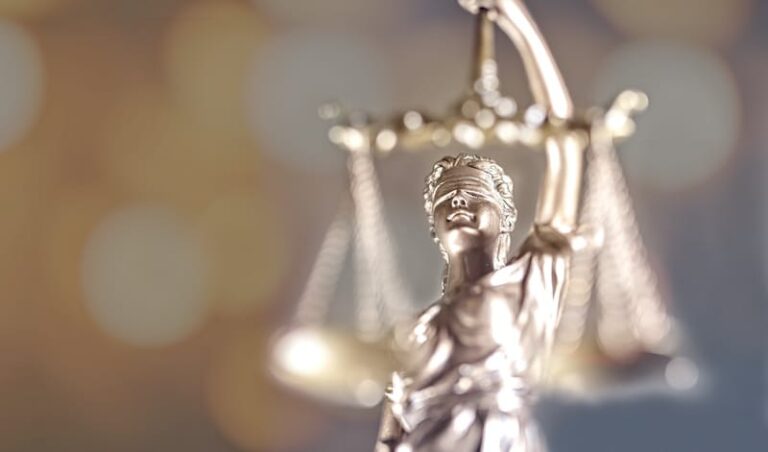 Top legal bodies accuse politicians of ‘irresponsible and dangerous’ attacks on lawyers