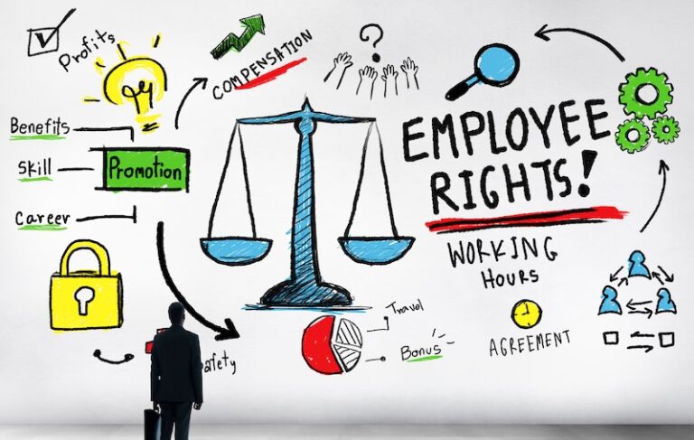 What employment lawyers actually do